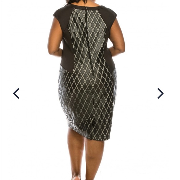 Plus Size Dresses - Picture 8 of 8